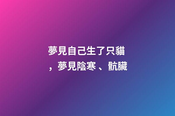 夢見自己生了只貓，夢見陰寒、骯臟-第1張-觀點-玄機派